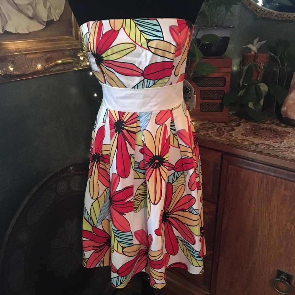 Alyn Paige sundress